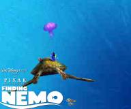 Дори и Немо плывут на черепахе