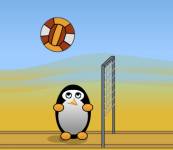Волейбол с пингвинами